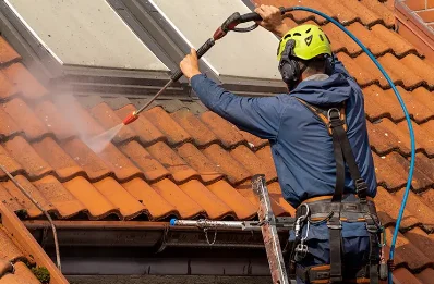 Démoussage et hydrofuge de toiture à Vernet